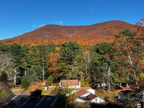 31ab3f88 3b92 46c6 aed5 b9fd229aef99